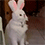 https://forumupload.ru/uploads/001c/70/51/3/276923.gif