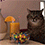 https://forumupload.ru/uploads/001c/70/51/3/307387.gif