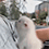 https://forumupload.ru/uploads/001c/70/51/3/34442.gif