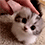 https://forumupload.ru/uploads/001c/70/51/3/398246.gif