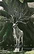 https://forumupload.ru/uploads/001c/70/51/3/399223.gif