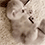 https://forumupload.ru/uploads/001c/70/51/3/418604.gif