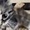 https://forumupload.ru/uploads/001c/70/51/3/472428.gif