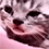 https://forumupload.ru/uploads/001c/70/51/3/502103.gif
