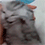 https://forumupload.ru/uploads/001c/70/51/3/550747.gif