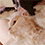 https://forumupload.ru/uploads/001c/70/51/3/554225.gif