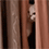 https://forumupload.ru/uploads/001c/70/51/3/66414.gif