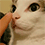 https://forumupload.ru/uploads/001c/70/51/3/690817.gif
