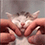 https://forumupload.ru/uploads/001c/70/51/3/712797.gif