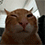 https://forumupload.ru/uploads/001c/70/51/3/755752.gif
