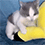 https://forumupload.ru/uploads/001c/70/51/3/768477.gif