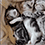 https://forumupload.ru/uploads/001c/70/51/3/785570.gif