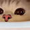 https://forumupload.ru/uploads/001c/70/51/3/788205.gif