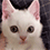 https://forumupload.ru/uploads/001c/70/51/3/794071.gif