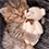 https://forumupload.ru/uploads/001c/70/51/3/805412.gif