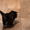 https://forumupload.ru/uploads/001c/70/51/3/822211.gif