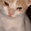 https://forumupload.ru/uploads/001c/70/51/3/848865.gif