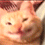 https://forumupload.ru/uploads/001c/70/51/3/912665.gif