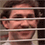 https://forumupload.ru/uploads/001c/70/51/3/979925.gif