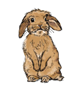 https://forumupload.ru/uploads/001c/71/28/2/120637.png