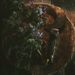 https://forumupload.ru/uploads/001c/71/2c/42/825989.png