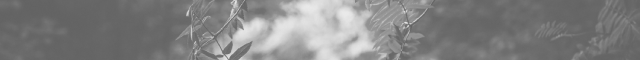 https://forumupload.ru/uploads/001c/73/03/2/895037.png