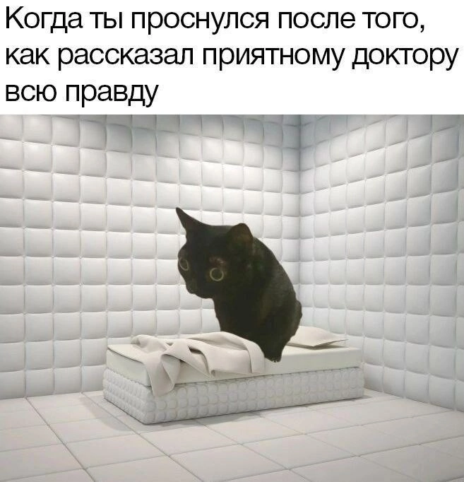 https://forumupload.ru/uploads/001c/73/44/12/82122.webp