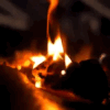https://forumupload.ru/uploads/001c/74/2d/100/693334.gif