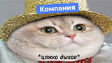 https://forumupload.ru/uploads/001c/74/74/24/t173849.png