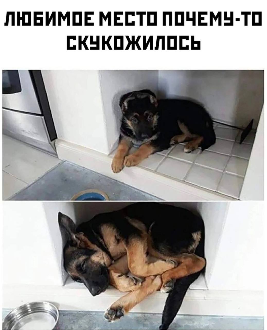 https://forumupload.ru/uploads/001c/74/74/46/392619.jpg