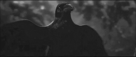 https://forumupload.ru/uploads/001c/75/d0/6/532920.gif