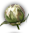 https://forumupload.ru/uploads/001c/76/cb/18/409204.png