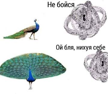https://forumupload.ru/uploads/001c/79/c1/2/t66127.jpg