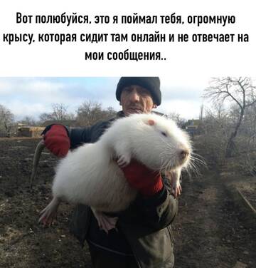 https://forumupload.ru/uploads/001c/7a/06/15/t412227.jpg