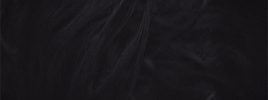 https://forumupload.ru/uploads/001c/7a/06/91/198506.gif