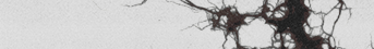 https://forumupload.ru/uploads/001c/7a/09/3/875384.png