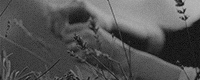 https://forumupload.ru/uploads/001c/7a/21/2/255041.gif
