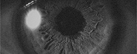 https://forumupload.ru/uploads/001c/7a/21/2/347677.gif