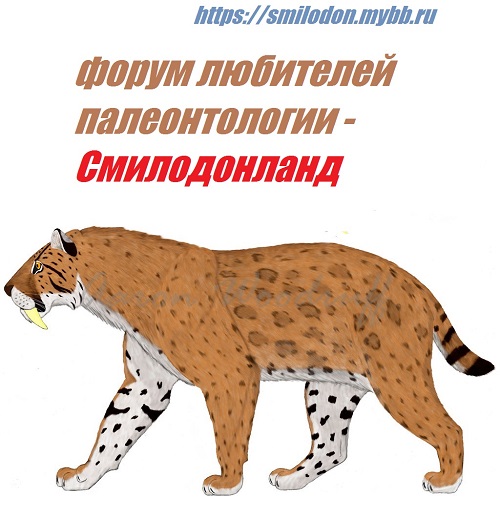 https://forumupload.ru/uploads/001c/7c/fc/2/t534262.jpg